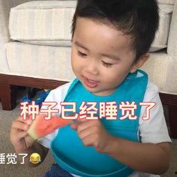 娱乐吃瓜社小鸡嘴,娱乐圈幕后那些事儿