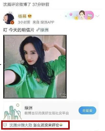 娱乐圈最新的吃瓜网站,揭秘明星背后的惊人真相！